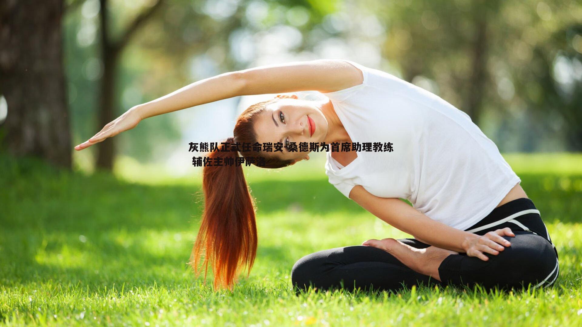 灰熊队正式任命瑞安-桑德斯为首席助理教练 辅佐主帅伊萨洛