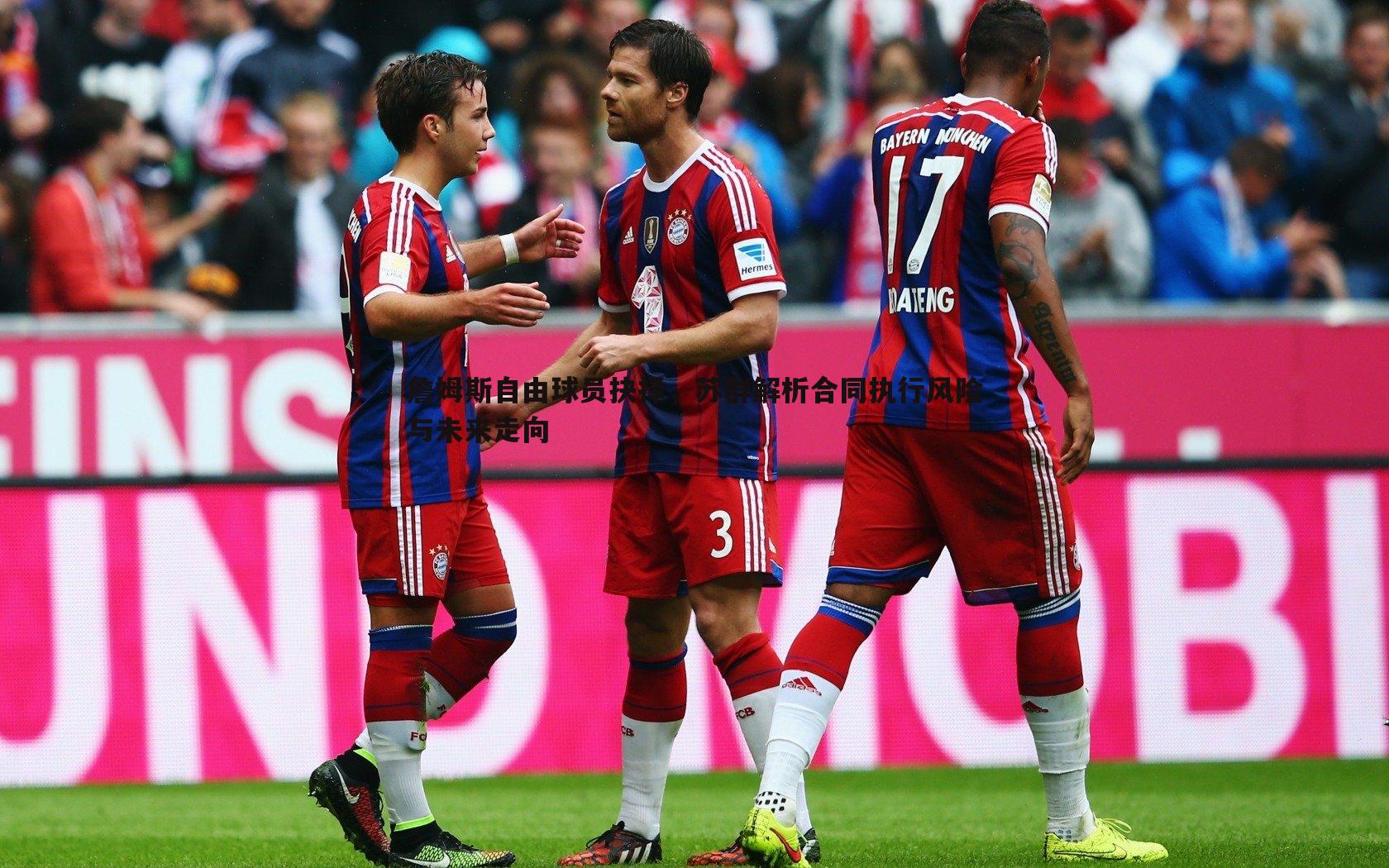 詹姆斯自由球员抉择,苏群解析合同执行风险与未来走向